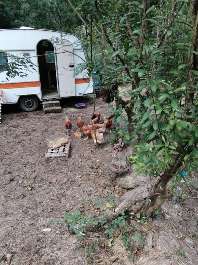 Servant Les Roches Chambre D'Hotes المظهر الخارجي الصورة